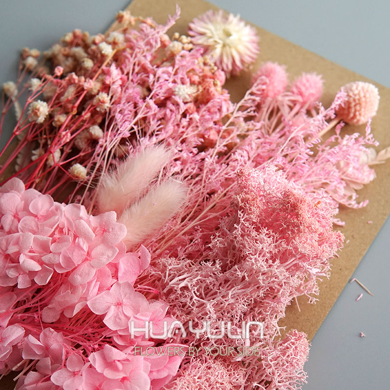 1 แพ็คพืชประดิษฐ์แห้งดอกไม้จริ - Candle Making Activity บทวิจารณ์และราคา