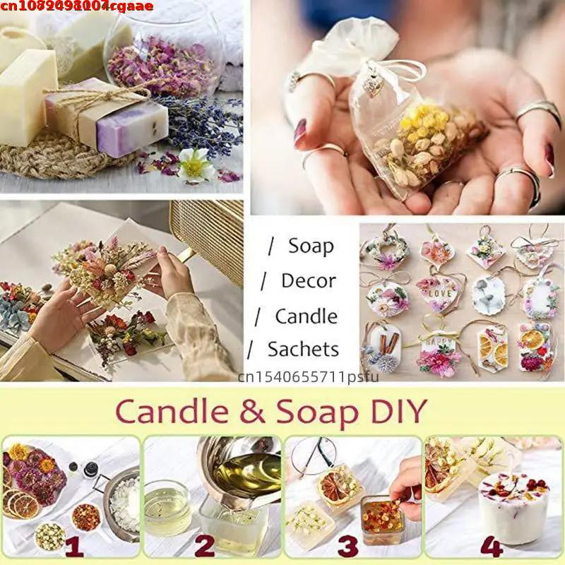 ดอกไม้แห้งธรรมชาติคุณภาพดีสำหร - Candle Making For Beginners บทวิจารณ์และราคา